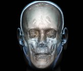 Anatomia della testa umana — Foto stock
