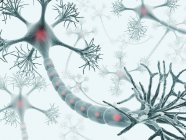 Neuronales Netzwerk mit synaptischen Terminals — Stockfoto