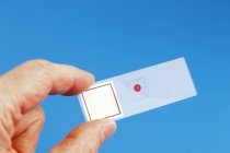Close-up of person hand holding microscope slide with red dot. — Stock Photo