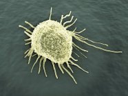 Мігруючі ракова клітина — стокове фото