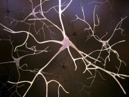 Нервові клітини і axon структур — стокове фото