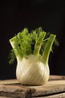 Close-up view of fennel on wooden board. — Stock Photo