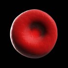Нормальної людської червоні клітини крові — стокове фото