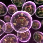 Visuelle Wiedergabe tierischer Zellen — Stockfoto