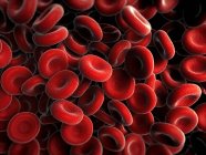 Normal red blood cells — Stock Photo