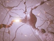 Нейронная сеть с синаптическими терминалами — стоковое фото
