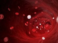 Glóbulos rojos - foto de stock