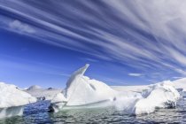 Icebergs near entrance of Lemaire Channel of Antarctic Peninsula. — Stock Photo