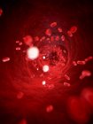 Blutkreislauf mit roten Blutkörperchen — Stockfoto