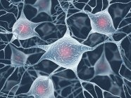 Axon connections between cells — Stock Photo