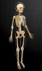 Anatomie structurelle de l'homme adulte — Photo de stock