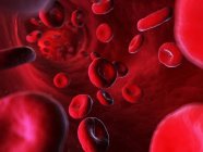 Blutkreislauf und Arterienwände — Stockfoto