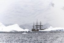 Sailing ship on water in Antarctica. — Stock Photo