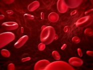 Normal red blood cells — Stock Photo