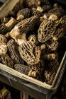 Close-up view of crate with morel mushrooms. — Stock Photo