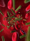 L'infezione batterica si diffonde nel flusso sanguigno — Foto stock
