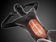 Músculos abdominais durante sit ups — Fotografia de Stock