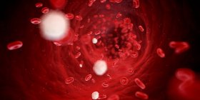 Кровь показывает эритроциты — стоковое фото