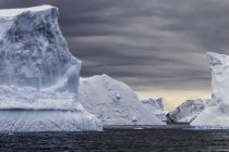 Vista panoramica degli iceberg oceanici in Antartide . — Foto stock