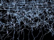 Células nervosas e rede nervosa — Fotografia de Stock