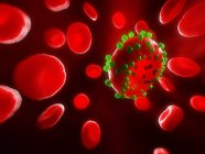 Healthy Red blood cells — Stock Photo