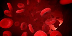 Corriente sanguínea mostrando glóbulos rojos - foto de stock