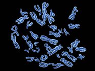 Normale menschliche Chromosomen — Stockfoto