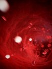Червоні кров'яні клітини — стокове фото