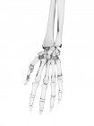 Структура человеческих костей рук — стоковое фото