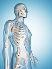 Spine and rib cage of healthy adult — Stock Photo