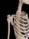 Système squelettique humain et anatomie structurelle — Photo de stock