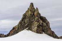 Scogliere ricoperte di licheni, Isola dei pinguini, Antartide . — Foto stock