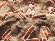 Искусство бактерий бацилл — стоковое фото