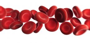 Globules rouges normaux — Photo de stock