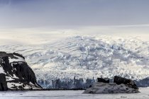 Scenic view of Penguin Island, Antarctica. — Stock Photo