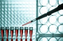 Close-up of pipetting into microtubes. — Stock Photo