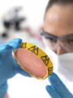 Cientista feminina segurando placa de Petri com culturas biológicas perigosas . — Fotografia de Stock