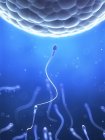 Menschliches Sperma und Eizelle — Stockfoto