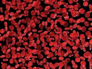 Human red blood cells — Stock Photo