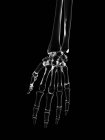Human hand bones structure — Stock Photo