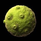 Virus del papillomavirus umano — Foto stock