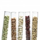 Beans and pulses in test tubes. — Stock Photo