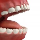Здорові зуби і гумка — стокове фото