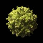 Partícula del virus Nodamura - foto de stock