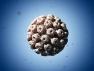 Virus de Simian 40 partículas - foto de stock