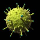 Renderização visual da gripe suína — Fotografia de Stock