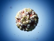 Rendering visivo del batteriofago Caulobacter — Foto stock