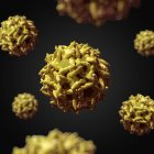 Virus della febbre gialla — Foto stock