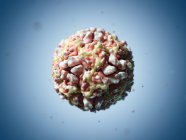 Риновіруси людський 16 частинок — стокове фото