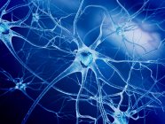 Cellules nerveuses et connexions axonales — Photo de stock